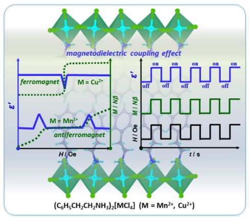 图1 在两例层状钙钛矿磁体中观察到磁介电耦合效应