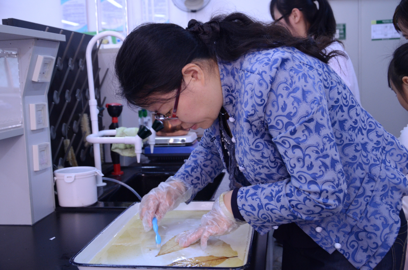 开放实验迎校友，携子共度化学节 