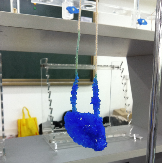 开放实验迎校友，携子共度化学节 