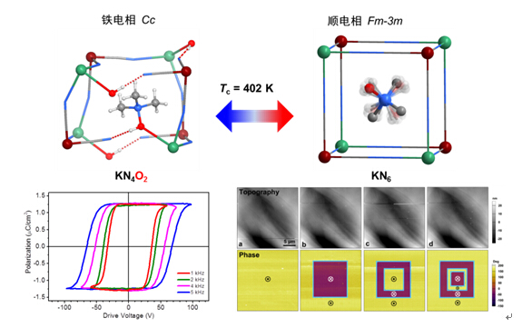 我院张伟雄副教授团队最新研究成果获美国Science杂志点评 